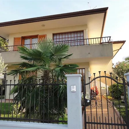 Colorful In A Daire *