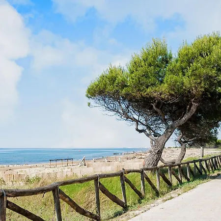 Colorful In A * Bibione