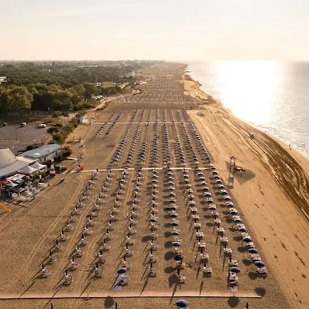 Colorful In A Bibione