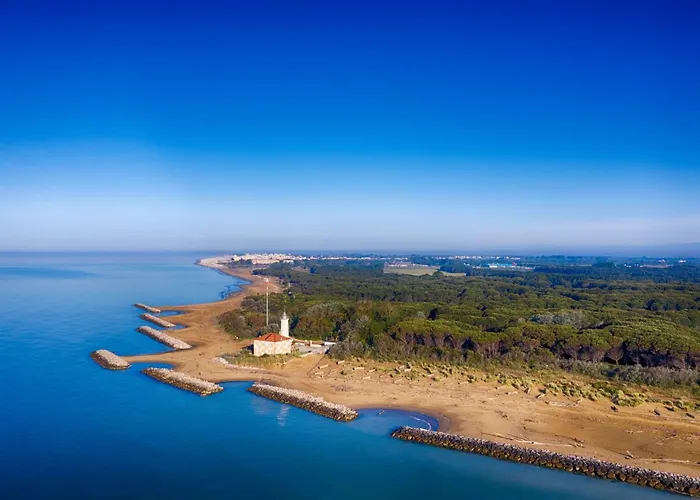 Lejlighed Colorful In A