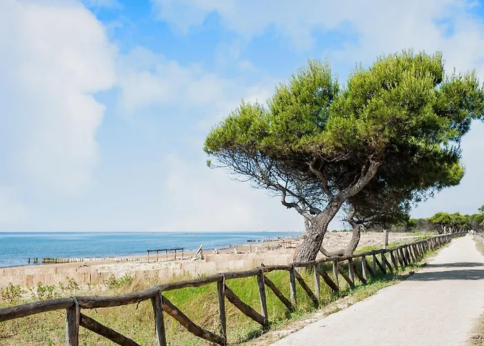Colorful In A * Bibione