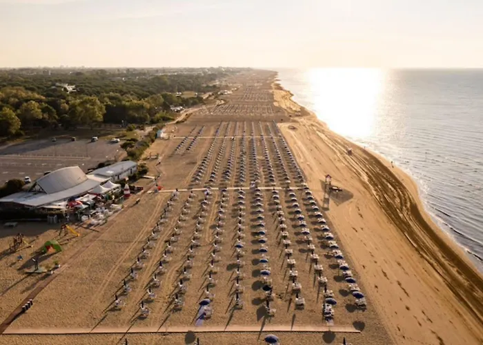 Colorful In A Бібіоне